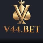 v44 game